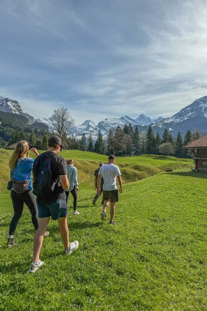 Four people walk on a grassy field toward snow-capped mountains under a clear sky, with trees and a small building nearby—an idyllic scene perfect for Switzerland weddings or intimate elopements.